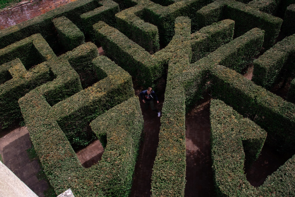 Hedge Maze